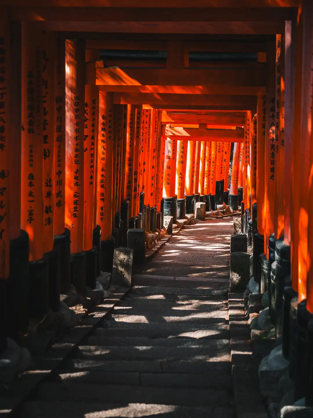 orange torii gates of Fushimi Inari-Taisha shrine in Kyoto, Japan